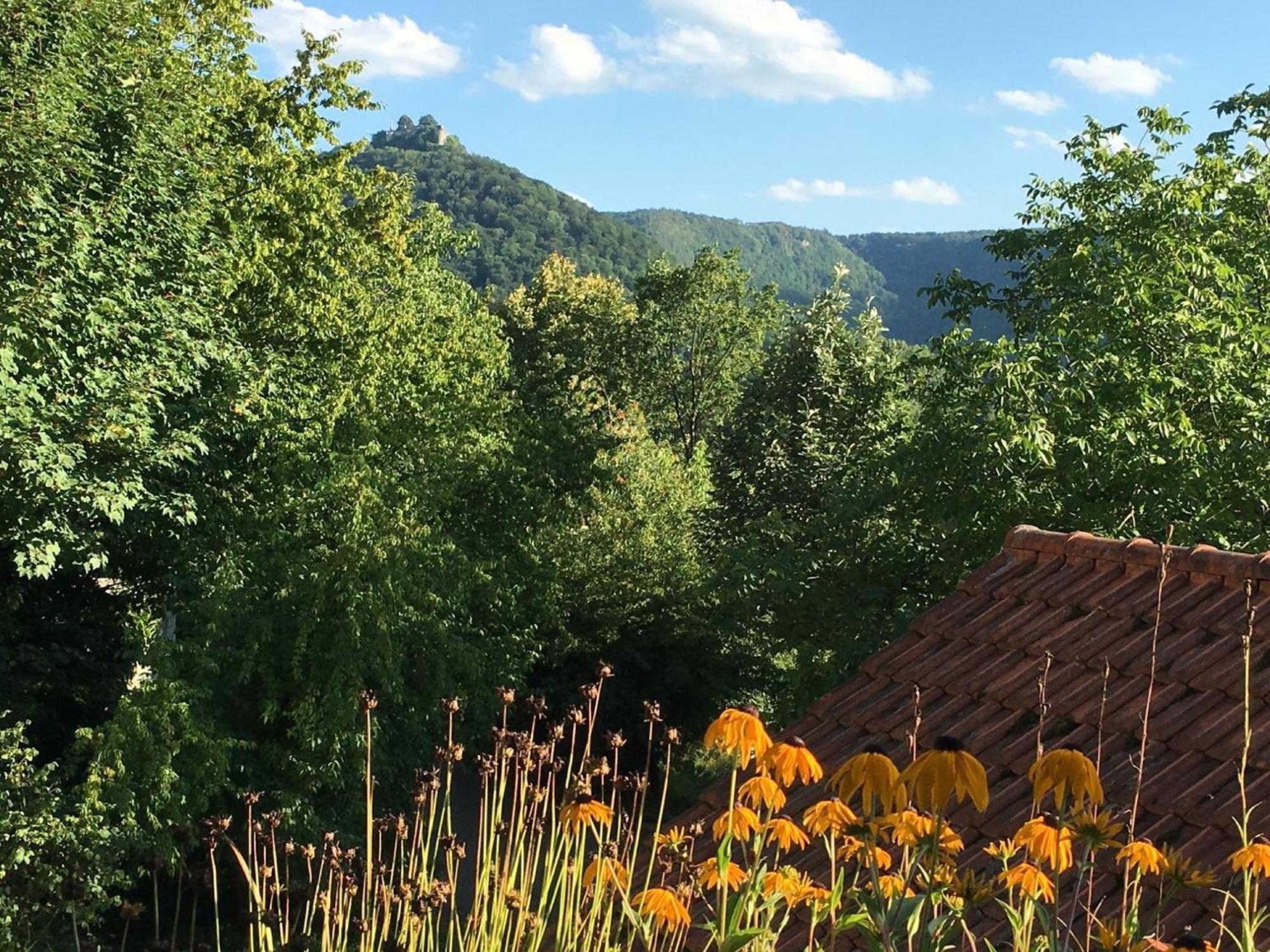 Haus Am Sonnenhuegel Bad Urach Exterior foto