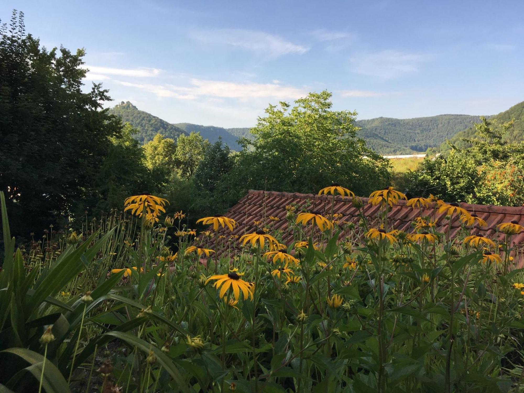 Haus Am Sonnenhuegel Bad Urach Exterior foto
